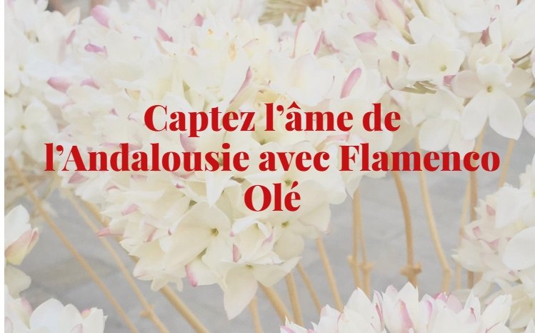 Agence de voyage spécialisée dans la découverte authentique et immersive de l’Andalousie.