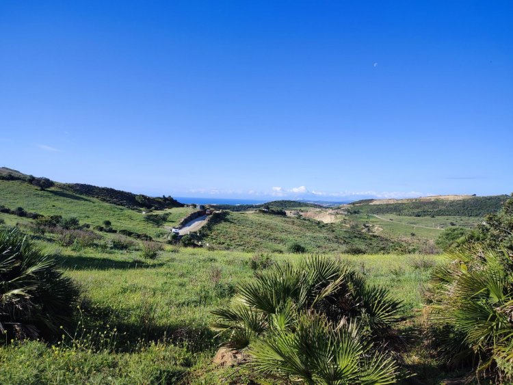 Immobilière Costa del Sol - Terrain de 9075m² à vendre sur Estepona