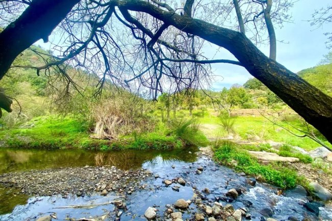 Immobilière Costa del Sol - Terrain à vendre sur Estepona