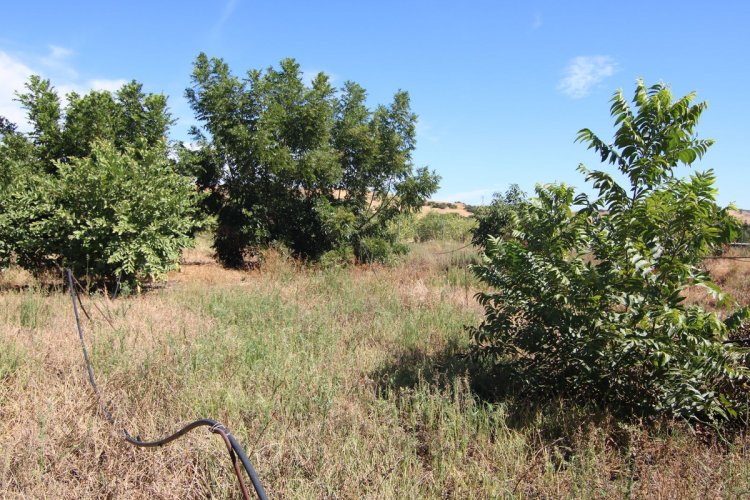 Immobilière Costa del Sol - Terrain à vendre sur Coin