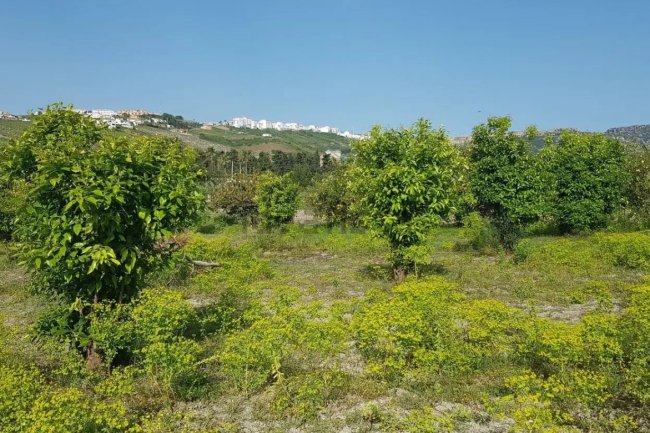 Terrain à vendre - Marina Urbanization Casares à Estepona
