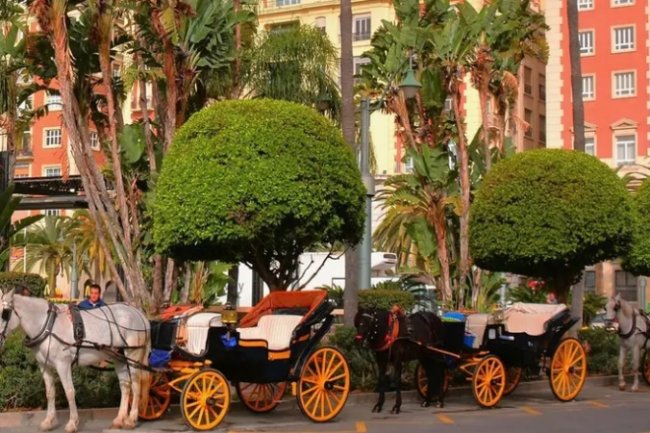 Fin des Calèches Touristiques à Malaga : Décision Historique Tourisme Durable Andalousie Costa del Sol