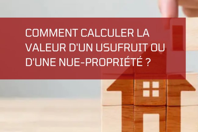 Usufruit et Nue-Propriété sur la Costa del Sol : Guide Complet pour Investir en Immobilier Espagnol en 2025