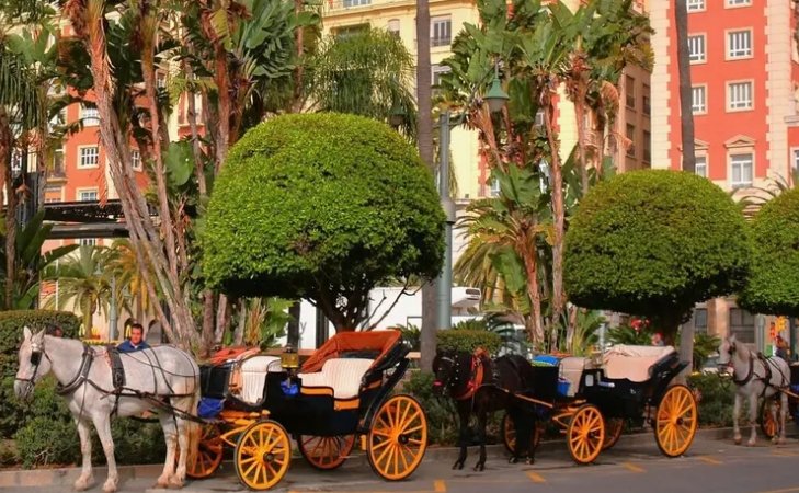 Fin des Calèches Touristiques à Malaga : Décision Historique Tourisme Durable Andalousie Costa del Sol
