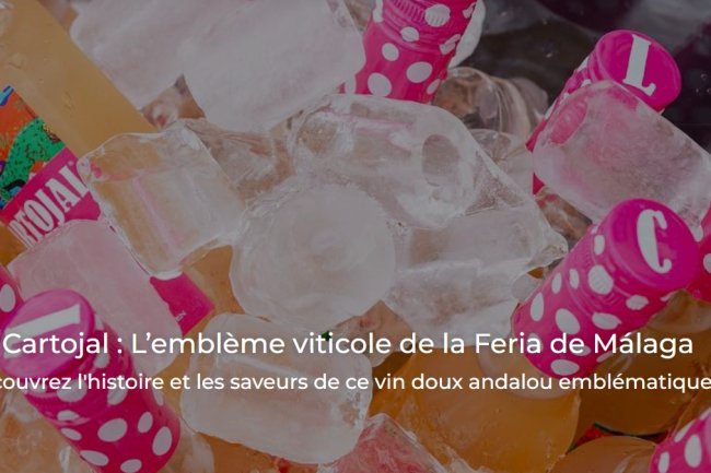 Cartojal : Le Vin Blanc Doux Emblématique de la Feria de Málaga en Andalousie | Nathi Dreams