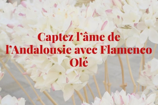 Flamenco Olé Voyages : l’aventure andalouse avec Frédéric et Maud