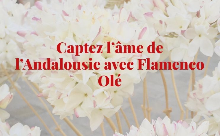 Flamenco Olé Voyages : l’aventure andalouse avec Frédéric et Maud
