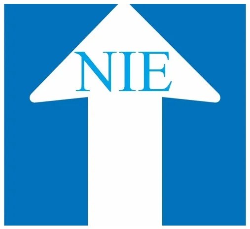 NIE Espagne en Andalousie : Guide simple pour obtenir votre numéro NIE  pour acheter un bien en Andalousie  I Nathi-Dreams