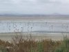 Fuente de Piedra et ses flamants roses : escapade nature à 1h de Malaga