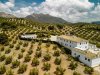 Style Farmhouse en Andalousie : l'authenticité des cortijos au cœur de la campagne