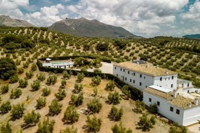 Style Farmhouse en Andalousie : l'authenticité des cortijos au cœur de la campagne