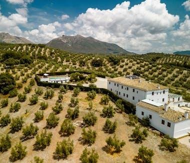 Style Farmhouse en Andalousie : l'authenticité des cortijos au cœur de la campagne