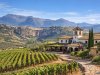 Vins de Ronda : vignobles, bodegas et dégustations