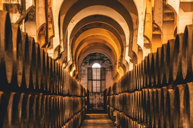 Vins de Jerez : Fino, Oloroso, Amontillado & Pedro Ximénez
