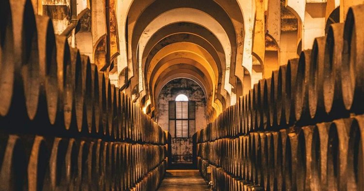 Vins de Jerez : Fino, Oloroso, Amontillado & Pedro Ximénez